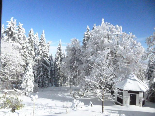 Pension Haus Am Waldesrand Oberhof  Dış mekan fotoğraf